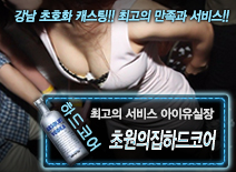 [초원의집하드코어-아이유]