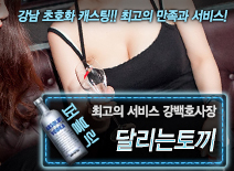 [달리는토끼-강백호사장]