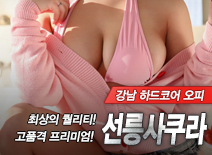 [선릉오피-선릉사쿠라]